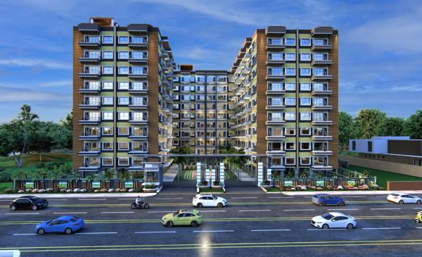  torulata-society Elevation