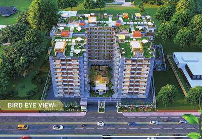  torulata-society Elevation