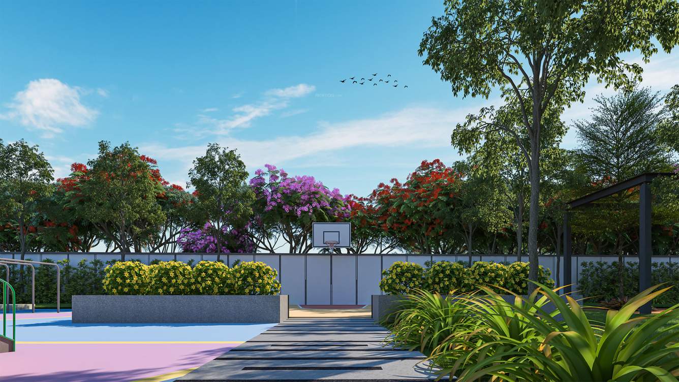  palmwoods Basketball Court