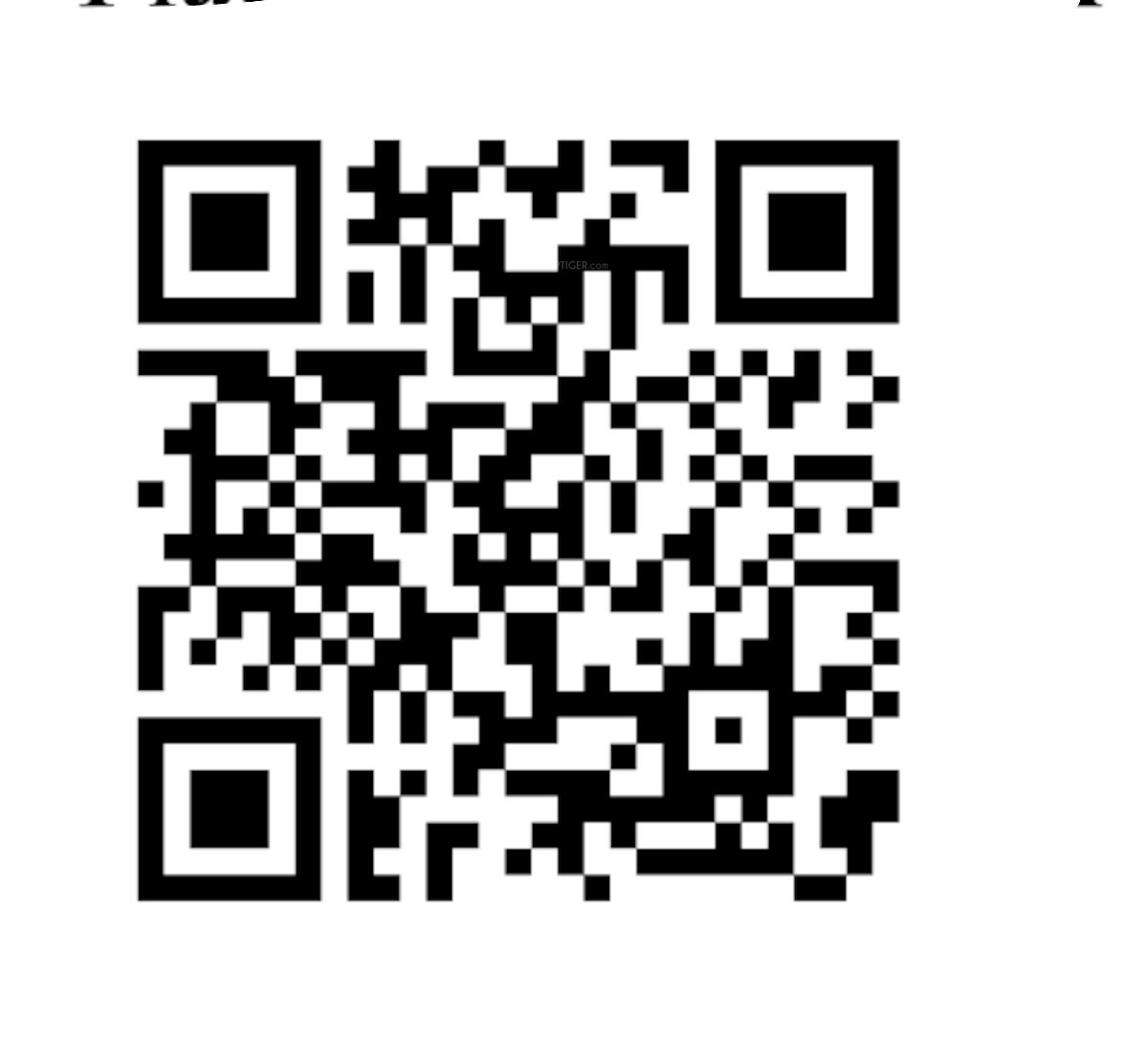 QR Image