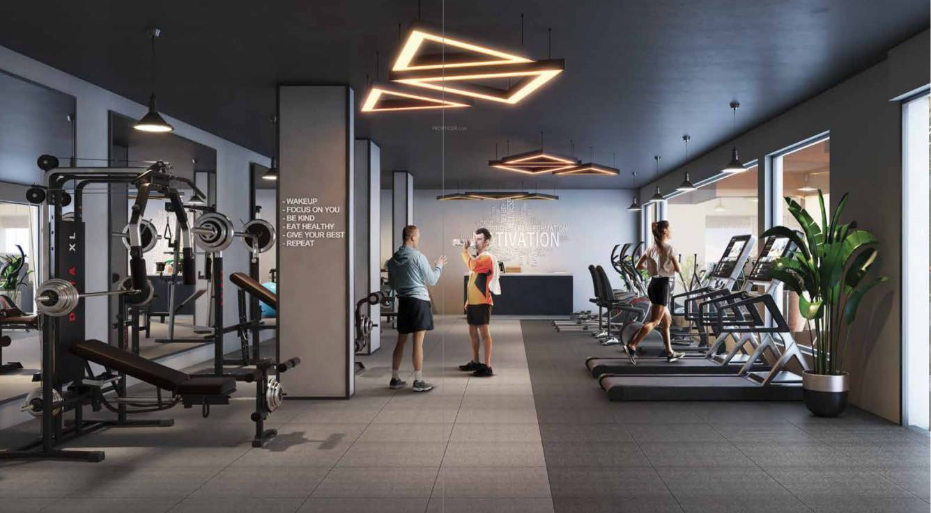  the senses Gymnasium