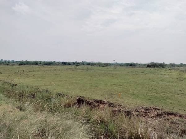  joythibasu-nagar Plot