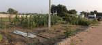 Plot  balajis-water-front-farmlands Plot