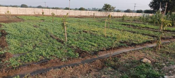  balajis-water-front-farmlands Plot