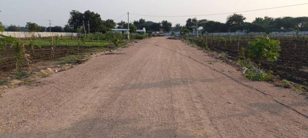 balajis-water-front-farmlands Plot