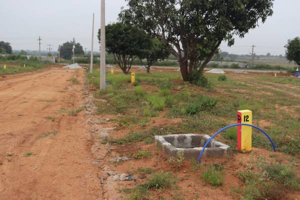  true-grande-commercial-b-block Plot