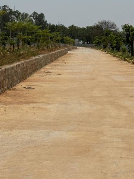  golden-eye Elevation