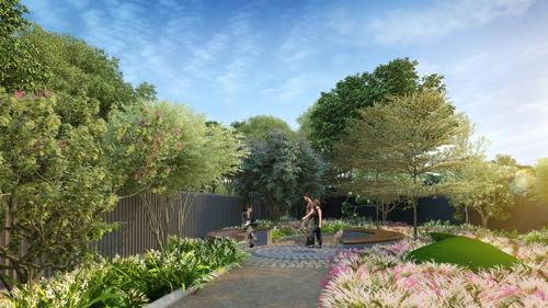  the-camelia-phase-1 Landscape Garden and Tree Planting