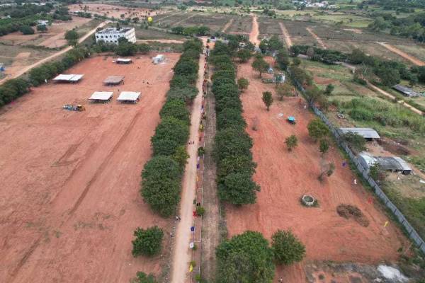  shadnagar-downtown Plot