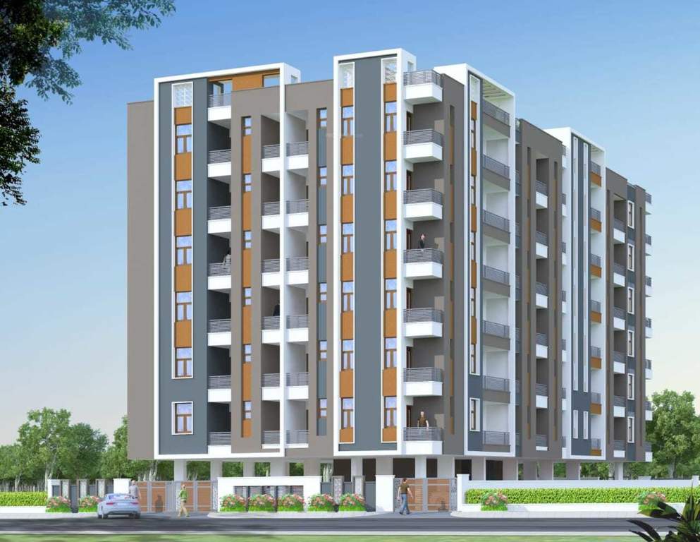  livasha Elevation