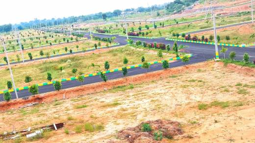 pharma-suncity Elevation Elevation