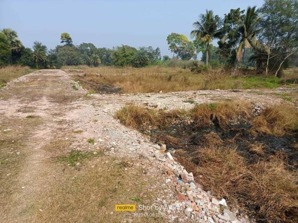  trinayan-enclave Plot