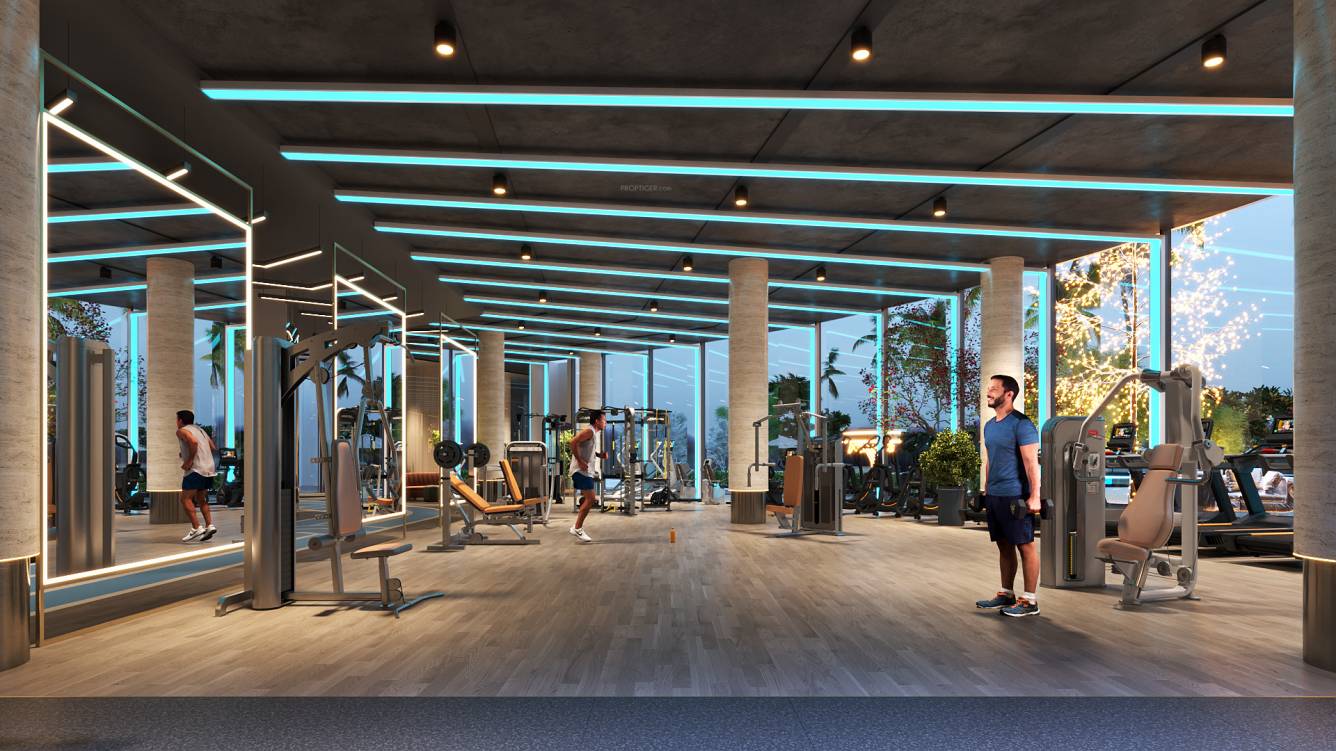  smartworld one dxp Gymnasium