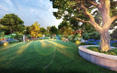  iconic-2 Landscape Garden and Tree Planting