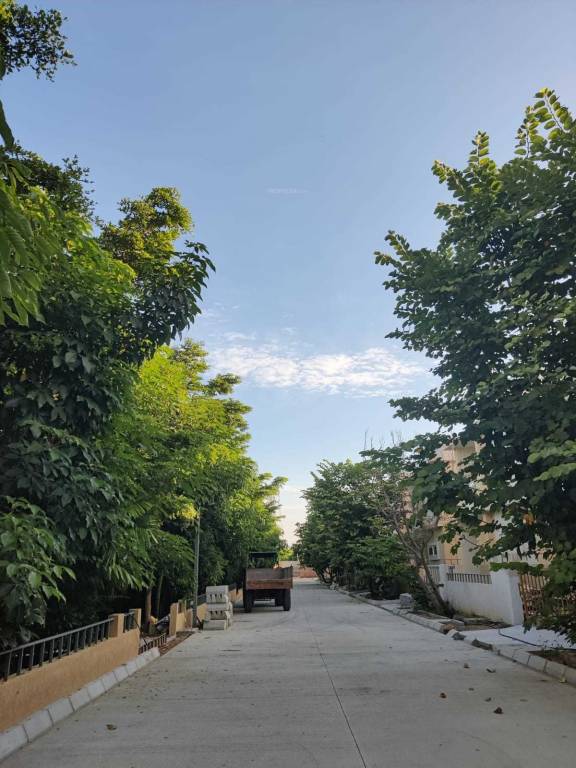  blue lotus villas Elevation