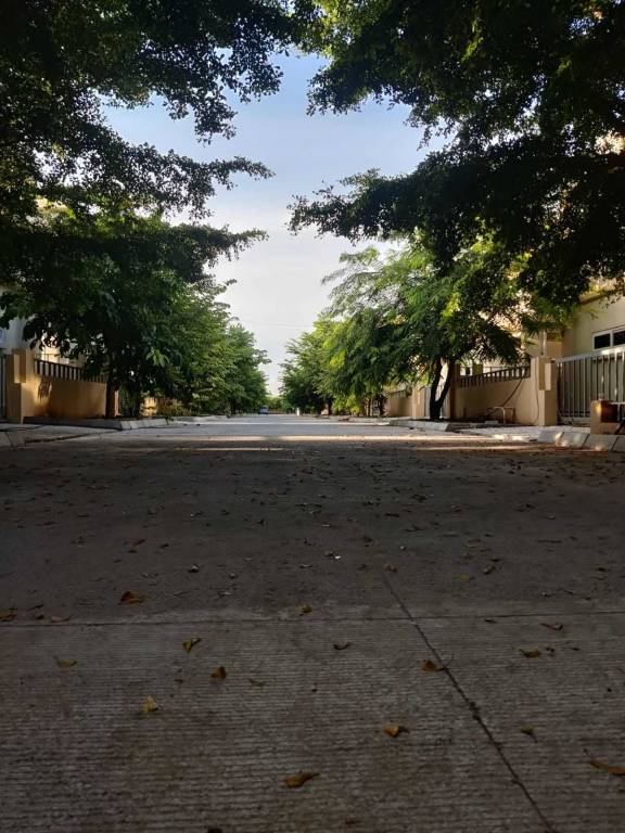  blue lotus villas Elevation