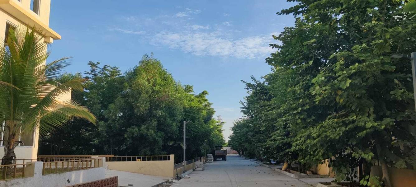  blue lotus villas Elevation