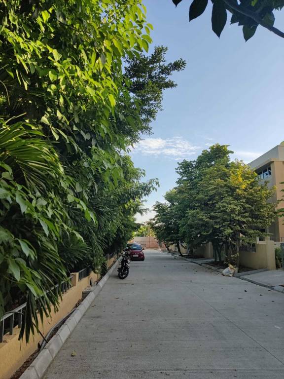  blue lotus villas Elevation