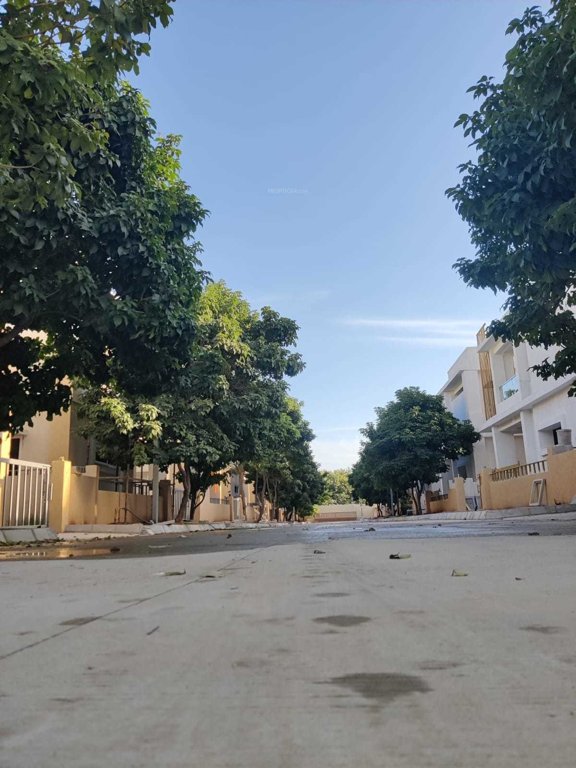  blue lotus villas Others