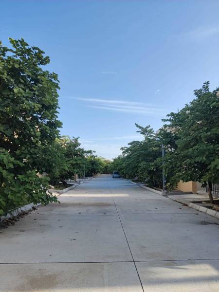  blue-lotus-villas Others