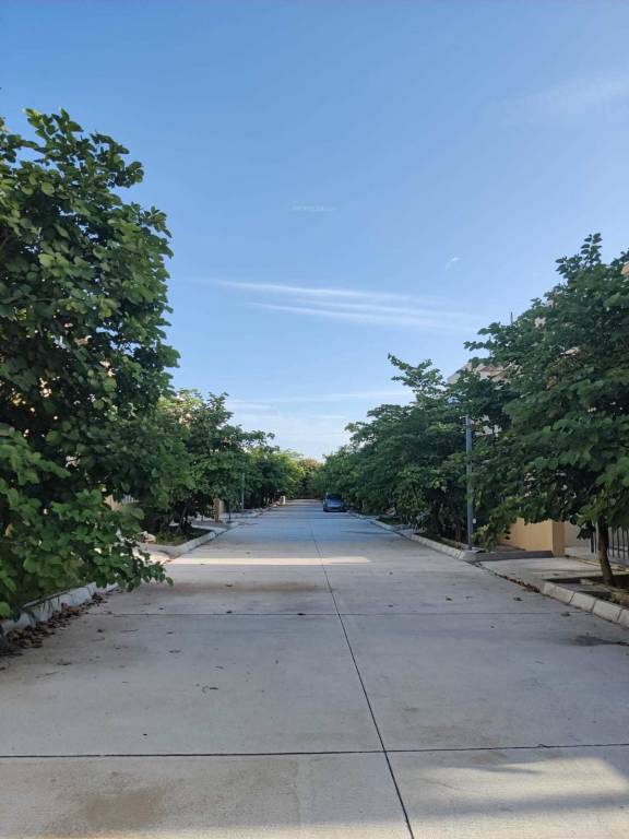  blue lotus villas Others