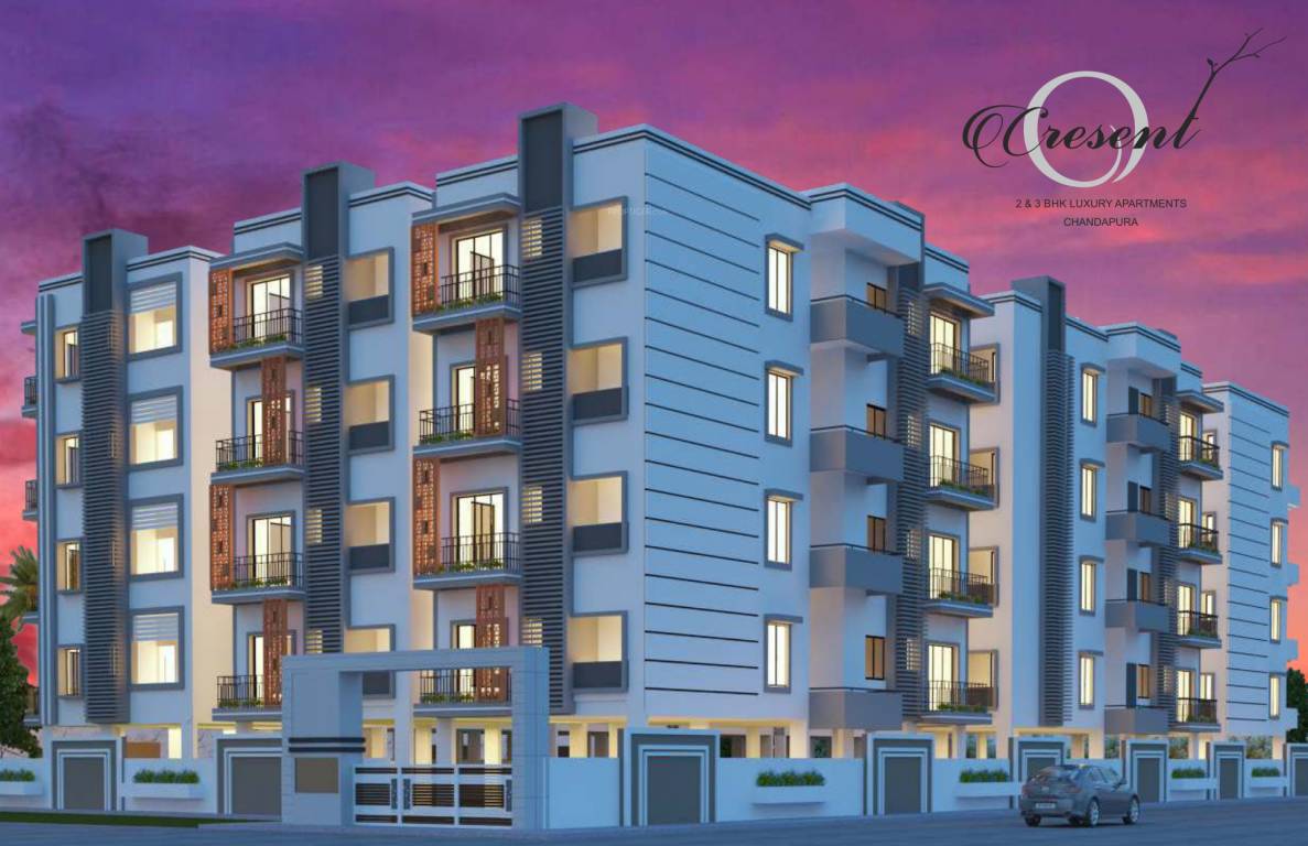  edifice infra cresent Elevation