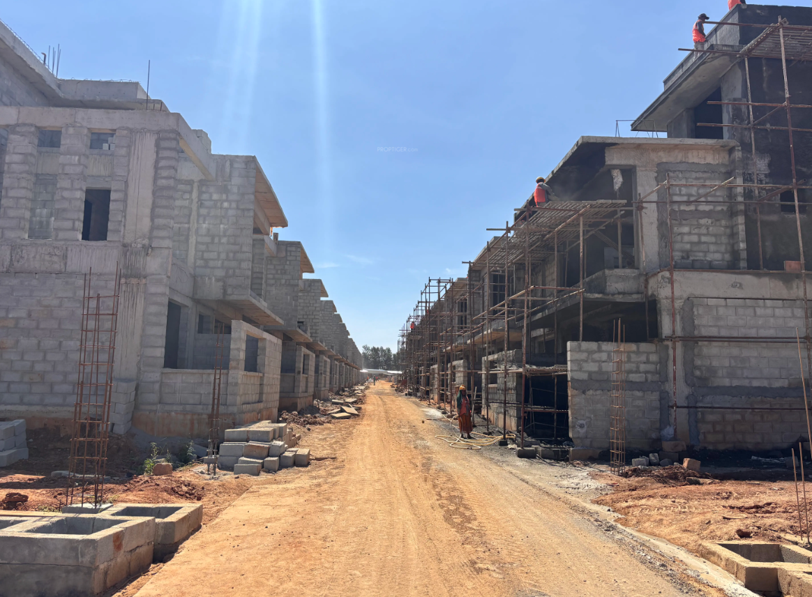 Construction Status Feb-25 divine-meadows Construction Status Feb-25