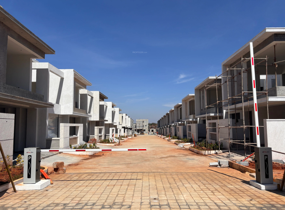 Construction Status Feb-25 divine-meadows Construction Status Feb-25