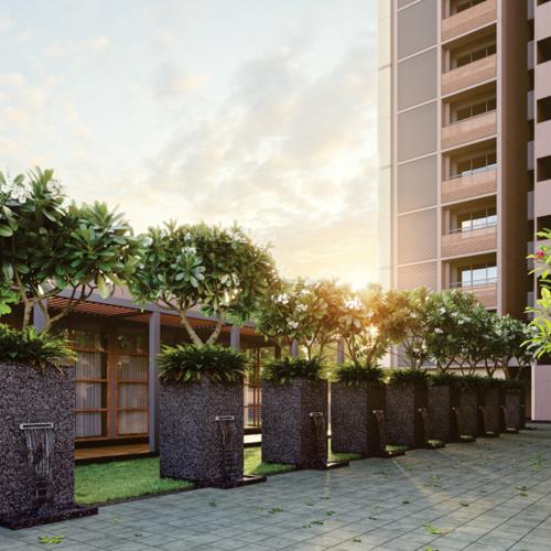  promont Landscape Garden and Tree Planting