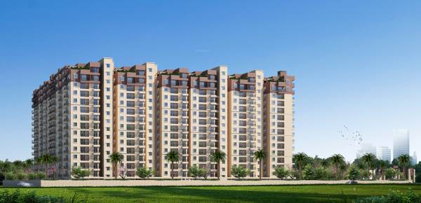  dream-city Elevation