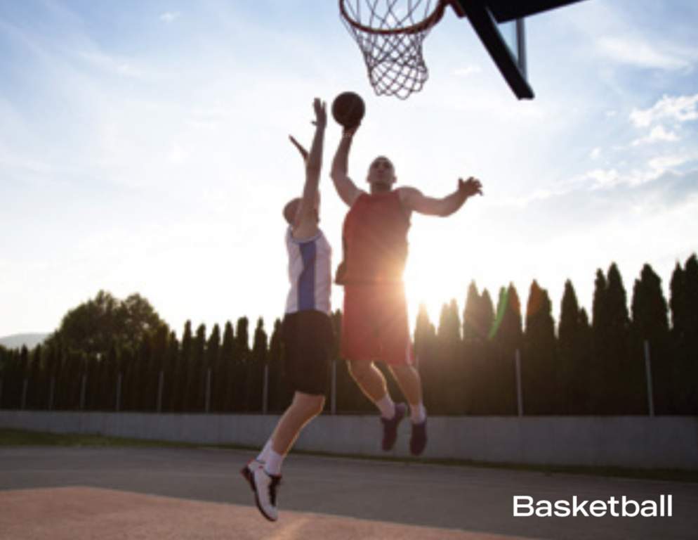 bloom & dell Basketball Court