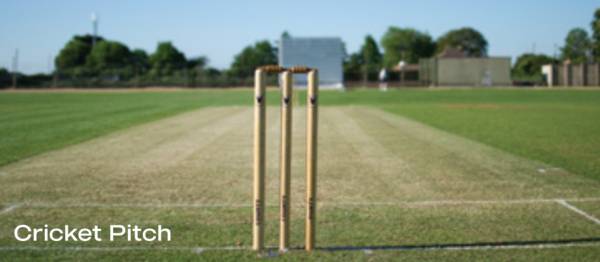  bloom-&-dell Cricket Pitch
