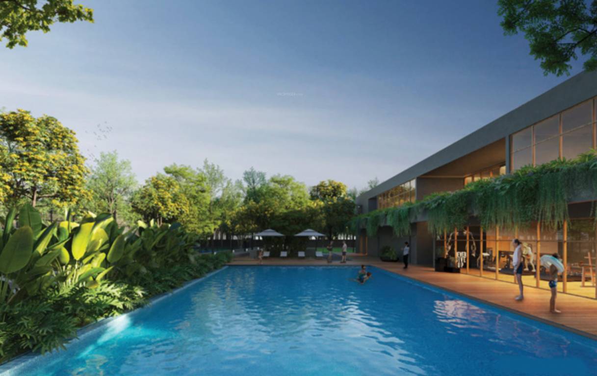 bloom & dell Swimming Pool