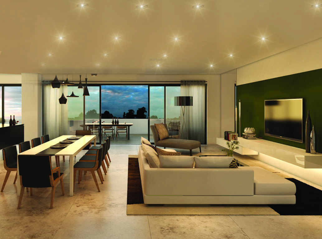 divyasree 77 life Living Area