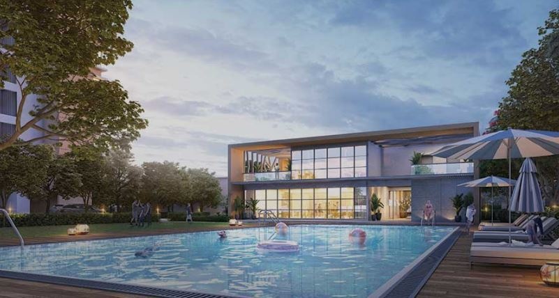 Pride Purple Park Connect