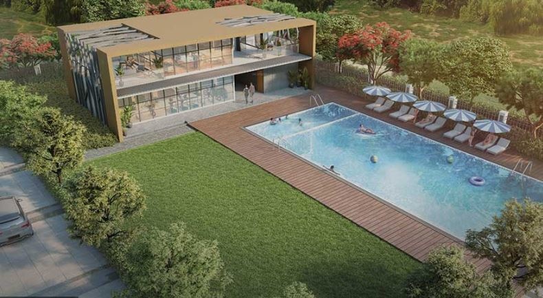 Pride Purple Park Connect