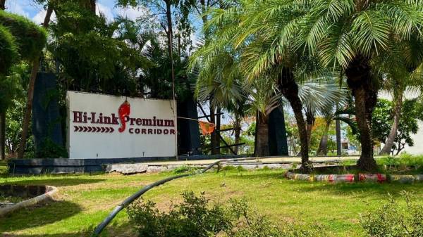 Plot premium-hi-link-greens-parth Plot