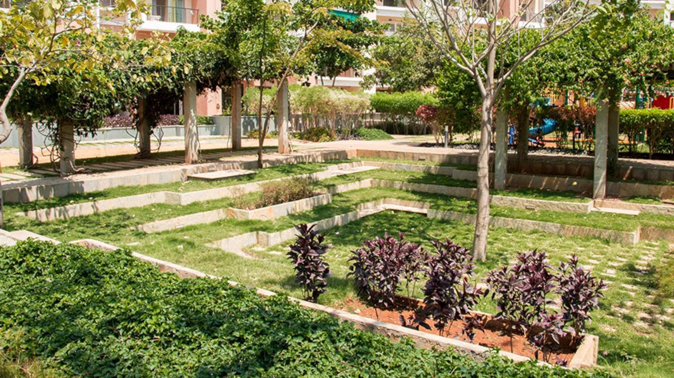  hm royal Landscape Garden and Tree Planting