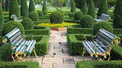  hm-royal Landscape Garden and Tree Planting