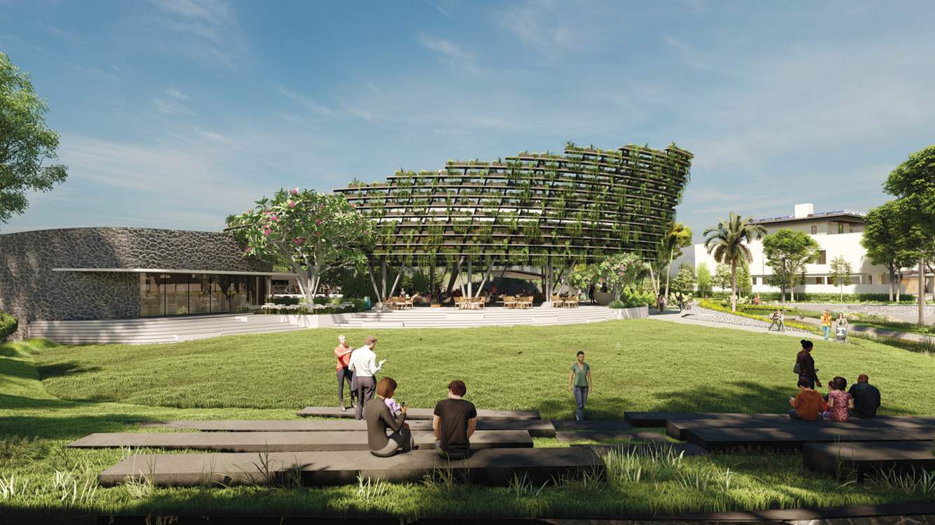  kandawada Landscape Garden and Tree Planting