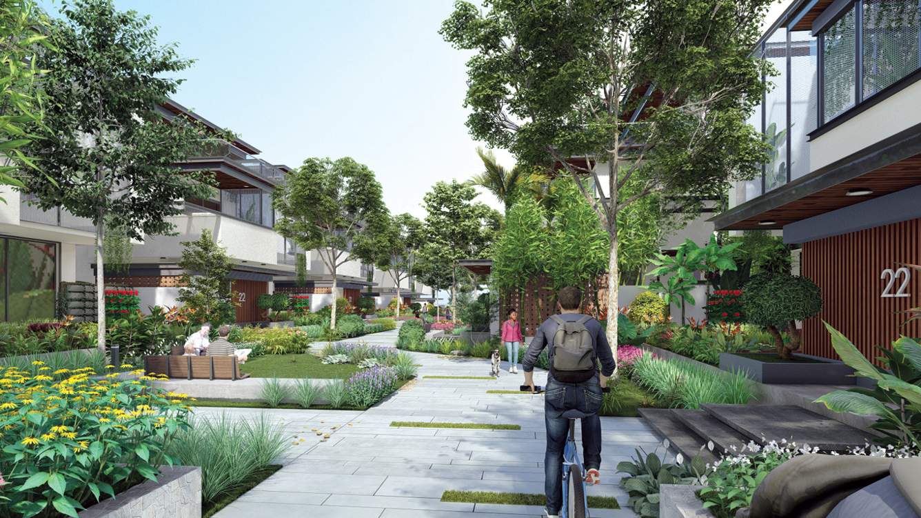  kandawada Landscape Garden and Tree Planting