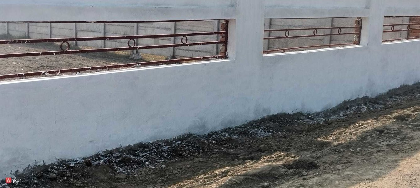  kissan green paradise Plot