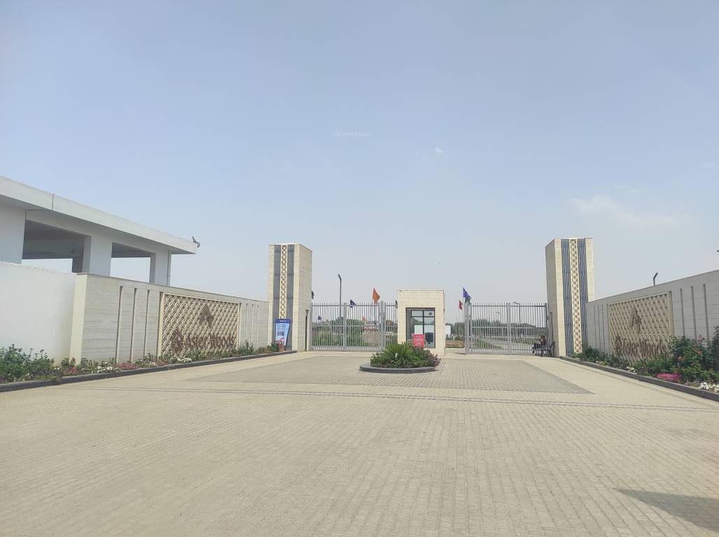 Elevation  aster woods Elevation