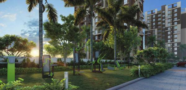 Gymnasium seasonss Gymnasium