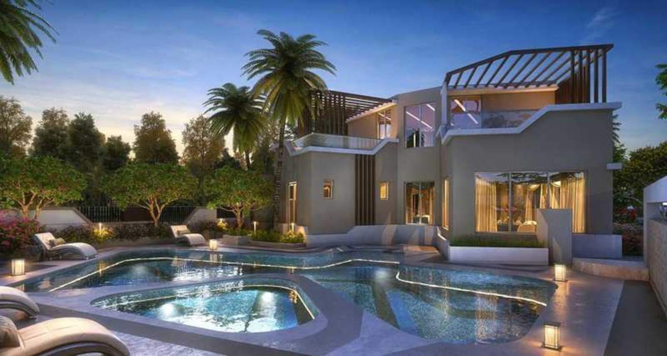  amorapolis phase 4 Others