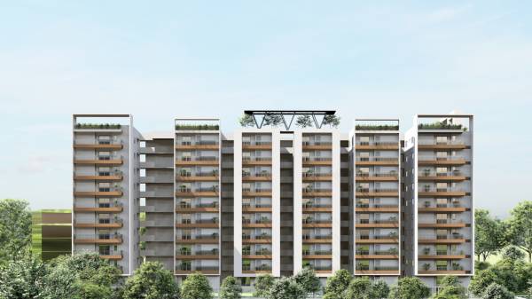 Elevation the-edge Elevation