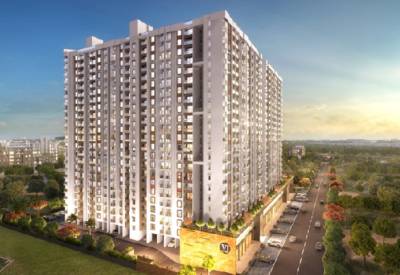 Elevation 41cosmo Elevation