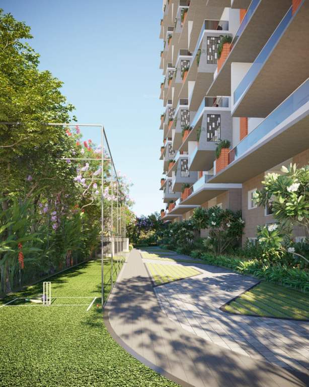  mackennas Cricket Pitch