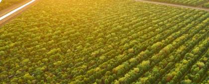 Elevation resorts Elevation