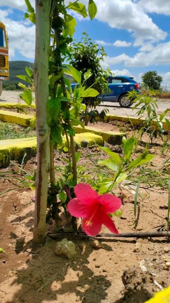 Others resorts Others